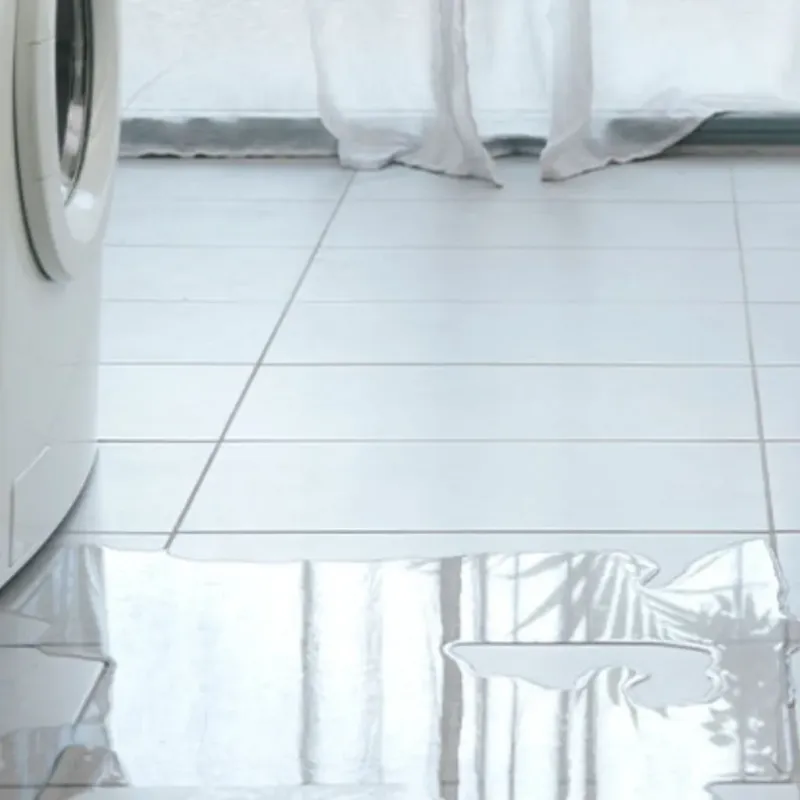 Appliance Leak Cleanup in Browns Point, WA